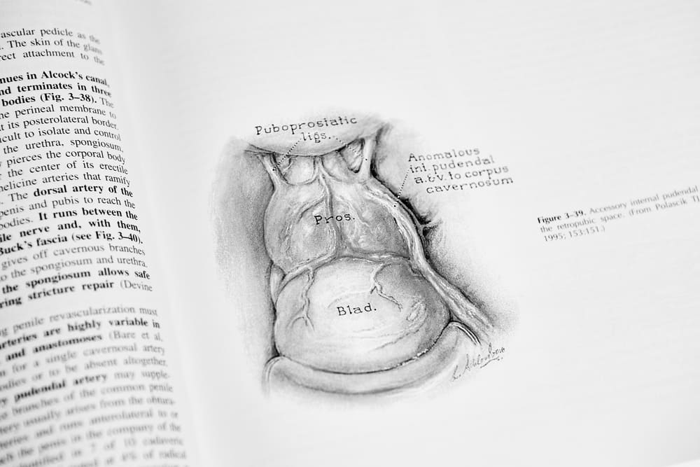 Livre d'urologie sur la prostate et la vessie