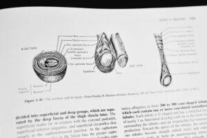 Livre d'urologie sur le scrotum et ses couches